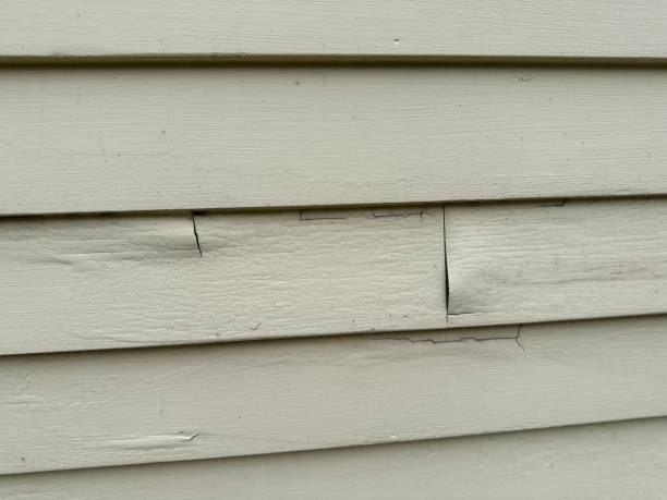 Best Hoarding Cleanup  in Fort Campbell North, KY